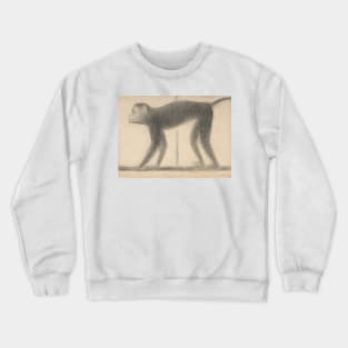 Monkey by Georges-Pierre Seurat Crewneck Sweatshirt